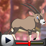 G4K Delighted Oryx Escape Game Walkthrough